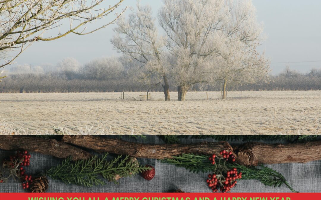 Frostly morning near the Jo Bird factory in Somerset